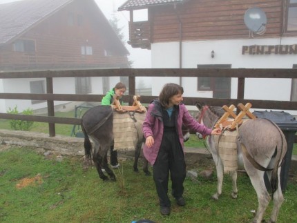 magarusi_apuseni__7_