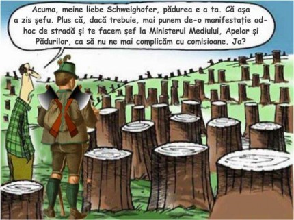 Schweighofer.