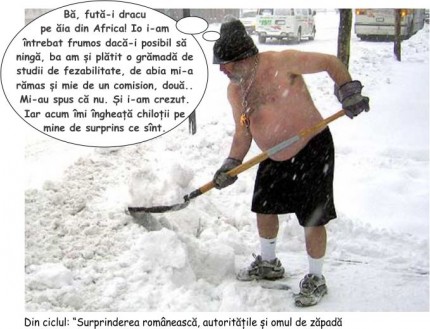 autoritate_publica_mioritica