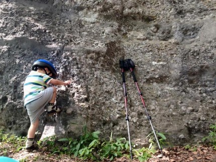 carmen_preoteasa_(dobocan)_3