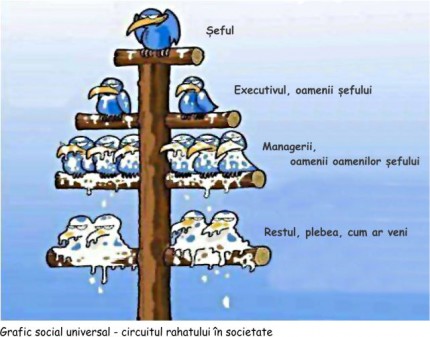 circuitul_rahatului_social