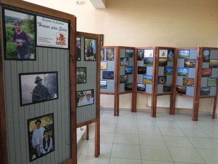 expo_hoinar_prin_salaj__8_