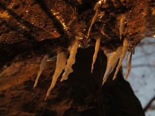 Un canion micuț de lângă Brâglezul sălăjean, îmbrăcat de soare în lumină portocalie
