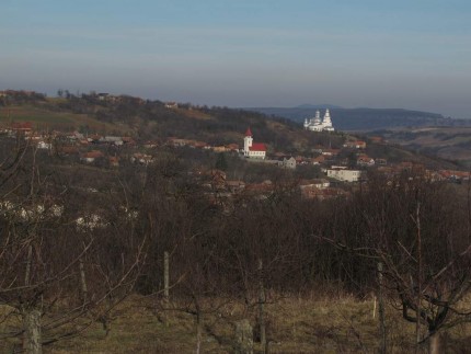 Pe Dealul Țarinei, la Bădăcin, istoria românilor e la ea acasă