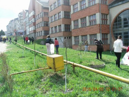 luna-curateniei-zalau