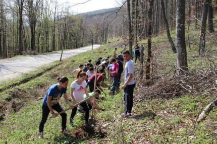 Puieţi de molid, plantaţi pe Meseş de elevi ai Liceului Mihai Viteazul Zalău