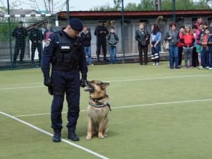 Peste 200 de elevi, la Ziua Porţilor Deschise la Jandarmeria Sălaj