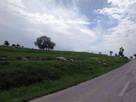 Salaj_Romania