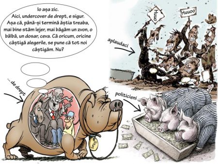 Cerșeala voturilor: Mulți porci, niscaiva javre, prostul satului