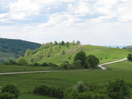 salaj