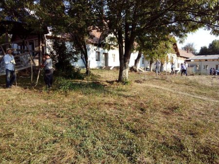 lucrari_gard_casa_maniu_3