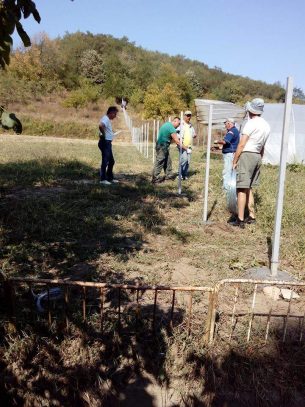 lucrari_gard_casa_maniu_4