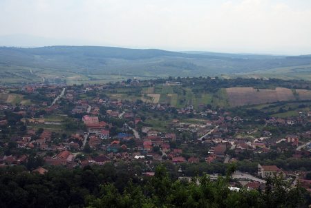 simleu_silvaniei