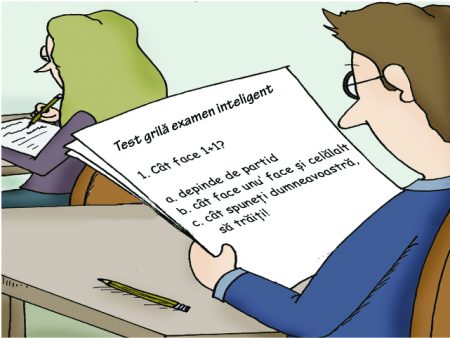 test_grila_directori_scoala