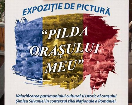 expozitie_cnipt_simleu